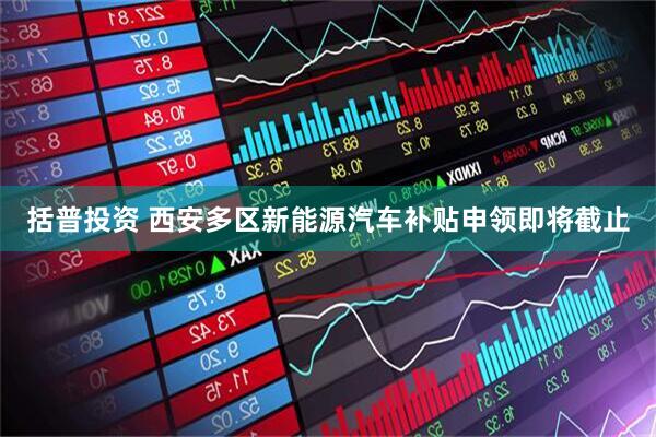 括普投资 西安多区新能源汽车补贴申领即将截止